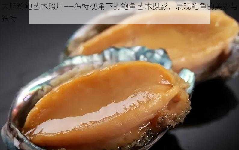 大胆粉鲍艺术照片——独特视角下的鲍鱼艺术摄影，展现鲍鱼的美妙与独特