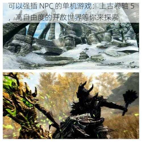 可以强插 NPC 的单机游戏：上古卷轴 5，高自由度的开放世界等你来探索