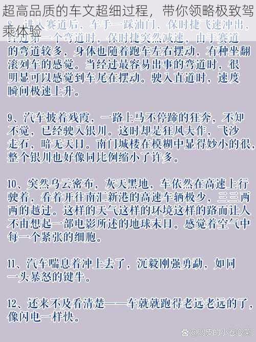 超高品质的车文超细过程，带你领略极致驾乘体验