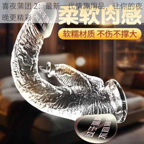 喜夜蒲团 2：最新一代情趣用品，让你的夜晚更精彩