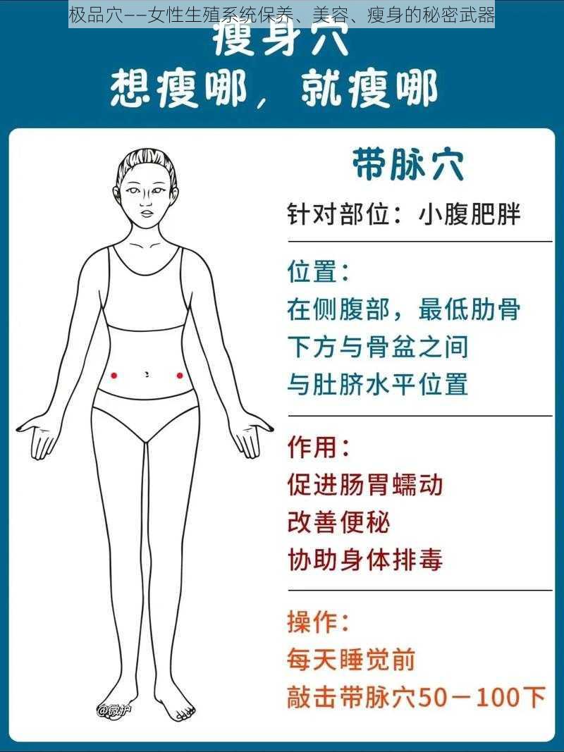 极品穴——女性生殖系统保养、美容、瘦身的秘密武器