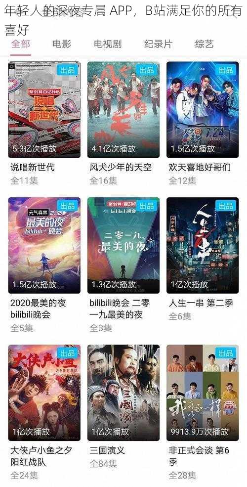 年轻人的深夜专属 APP，B站满足你的所有喜好