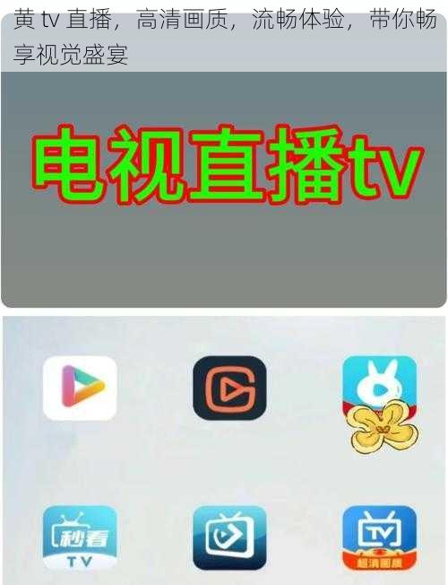 黄 tv 直播，高清画质，流畅体验，带你畅享视觉盛宴