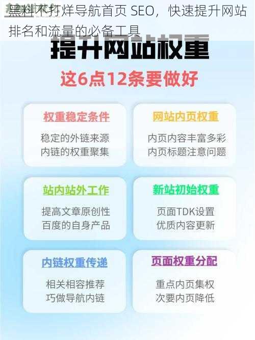 黑料不打烊导航首页 SEO，快速提升网站排名和流量的必备工具