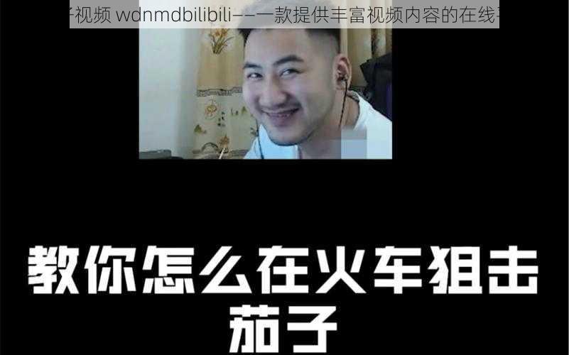 茄子视频 wdnmdbilibili——一款提供丰富视频内容的在线平台