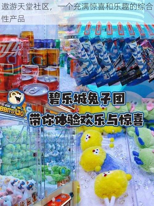 遨游天堂社区，一个充满惊喜和乐趣的综合性产品