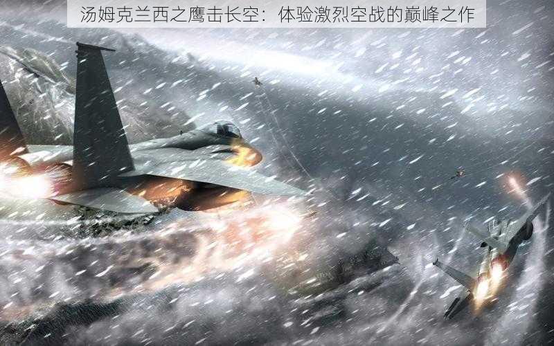 汤姆克兰西之鹰击长空：体验激烈空战的巅峰之作