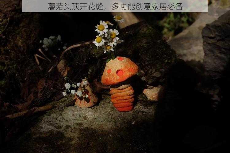 蘑菇头顶开花缝，多功能创意家居必备