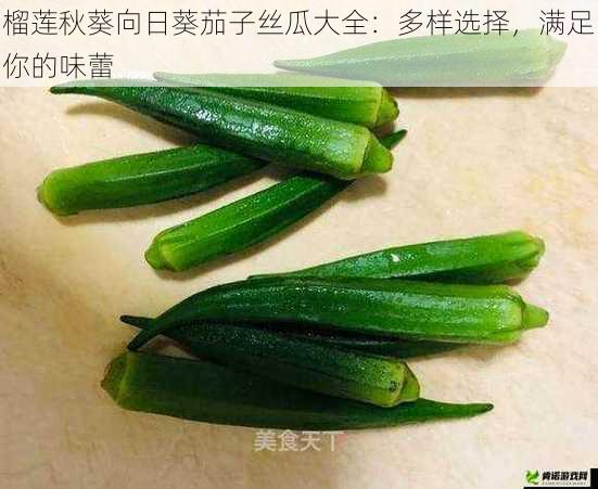 榴莲秋葵向日葵茄子丝瓜大全：多样选择，满足你的味蕾