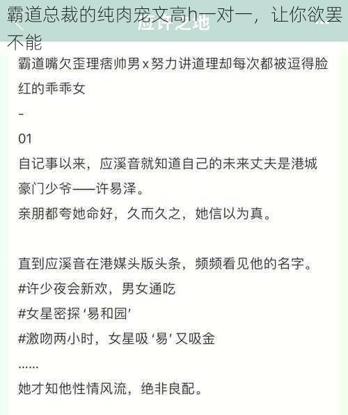 霸道总裁的纯肉宠文高h一对一，让你欲罢不能