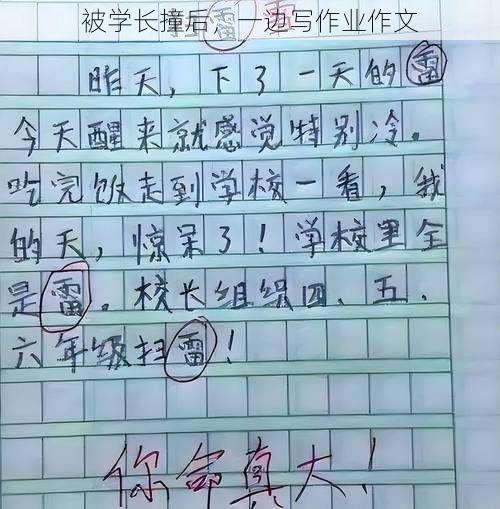 被学长撞后，一边写作业作文