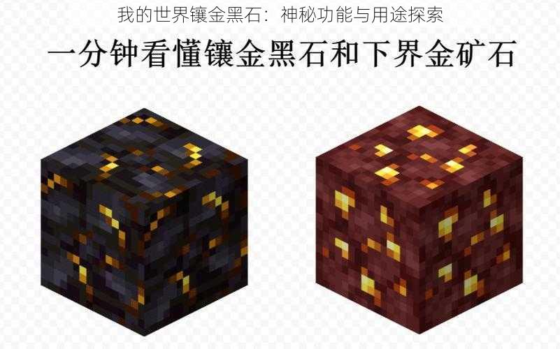 我的世界镶金黑石：神秘功能与用途探索