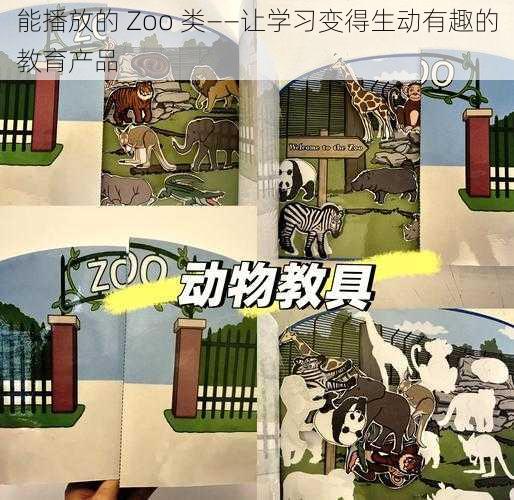 能播放的 Zoo 类——让学习变得生动有趣的教育产品