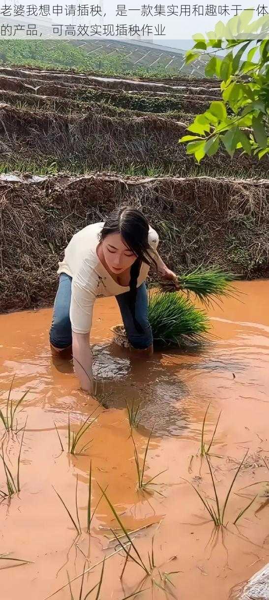 老婆我想申请插秧，是一款集实用和趣味于一体的产品，可高效实现插秧作业