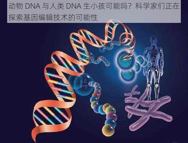 动物 DNA 与人类 DNA 生小孩可能吗？科学家们正在探索基因编辑技术的可能性