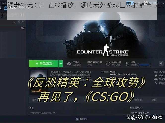 暴躁老外玩 CS：在线播放，领略老外游戏世界的激情与疯狂