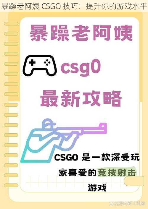 暴躁老阿姨 CSGO 技巧：提升你的游戏水平