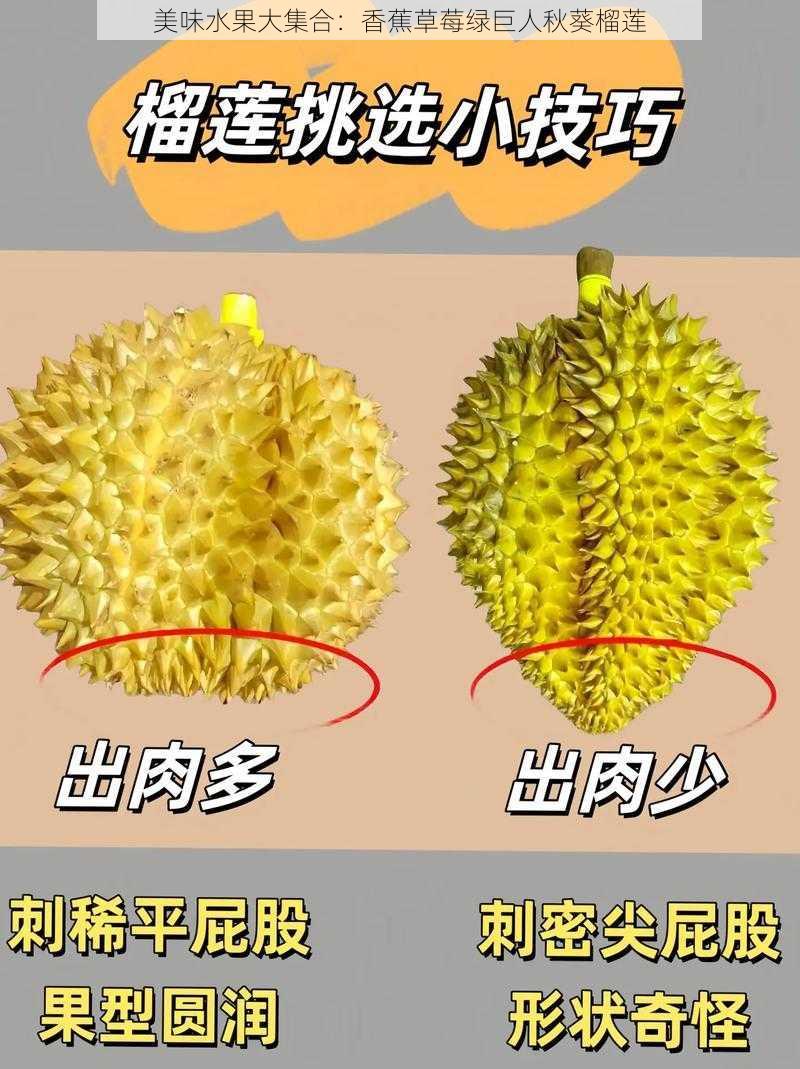 美味水果大集合：香蕉草莓绿巨人秋葵榴莲