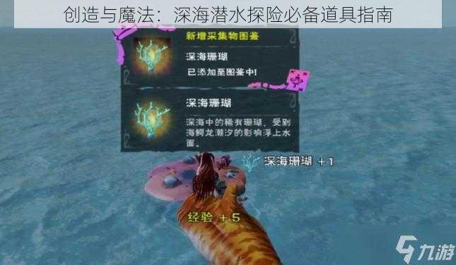 创造与魔法：深海潜水探险必备道具指南