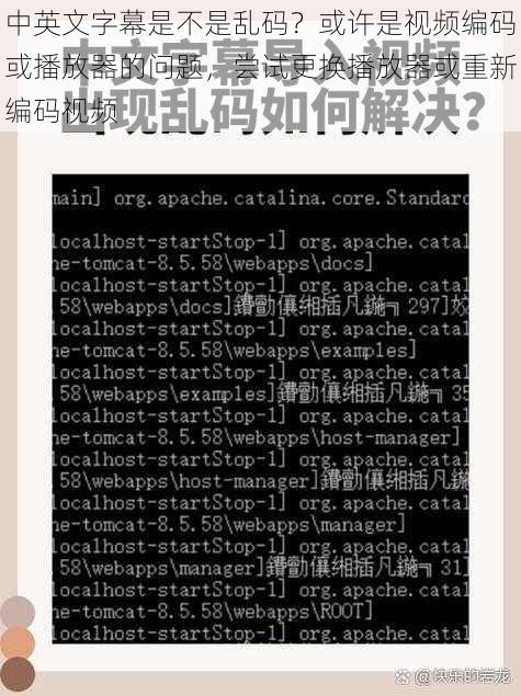 中英文字幕是不是乱码？或许是视频编码或播放器的问题，尝试更换播放器或重新编码视频