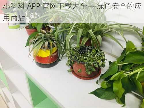 小科科 APP 官网下载大全——绿色安全的应用商店