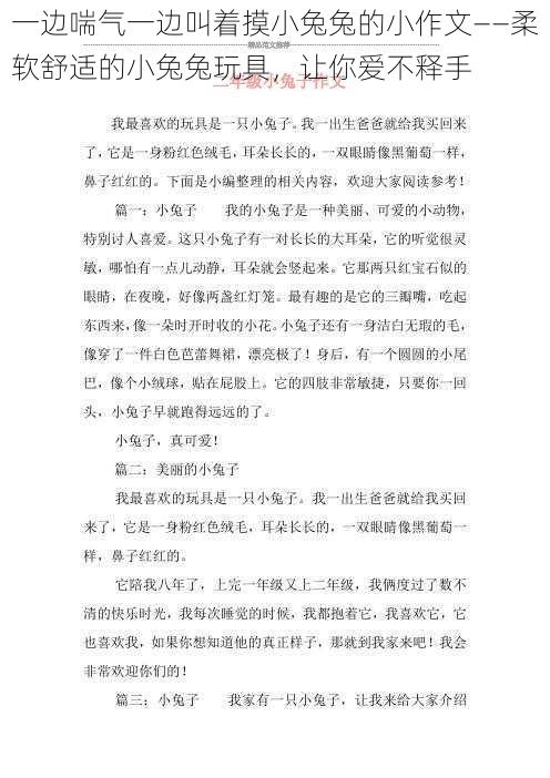 一边喘气一边叫着摸小兔兔的小作文——柔软舒适的小兔兔玩具，让你爱不释手