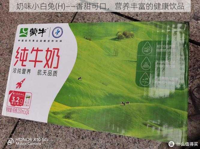 奶味小白兔(H)——香甜可口，营养丰富的健康饮品