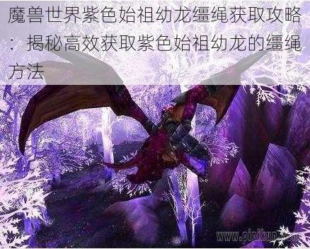 魔兽世界紫色始祖幼龙缰绳获取攻略：揭秘高效获取紫色始祖幼龙的缰绳方法