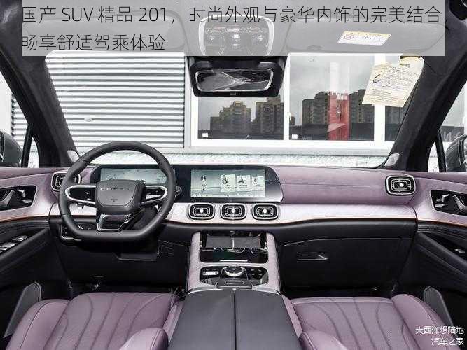 国产 SUV 精品 201，时尚外观与豪华内饰的完美结合，畅享舒适驾乘体验