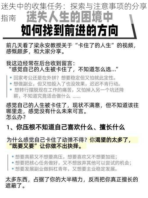 迷失中的收集任务：探索与注意事项的分享指南