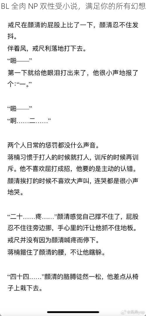 BL 全肉 NP 双性受小说，满足你的所有幻想