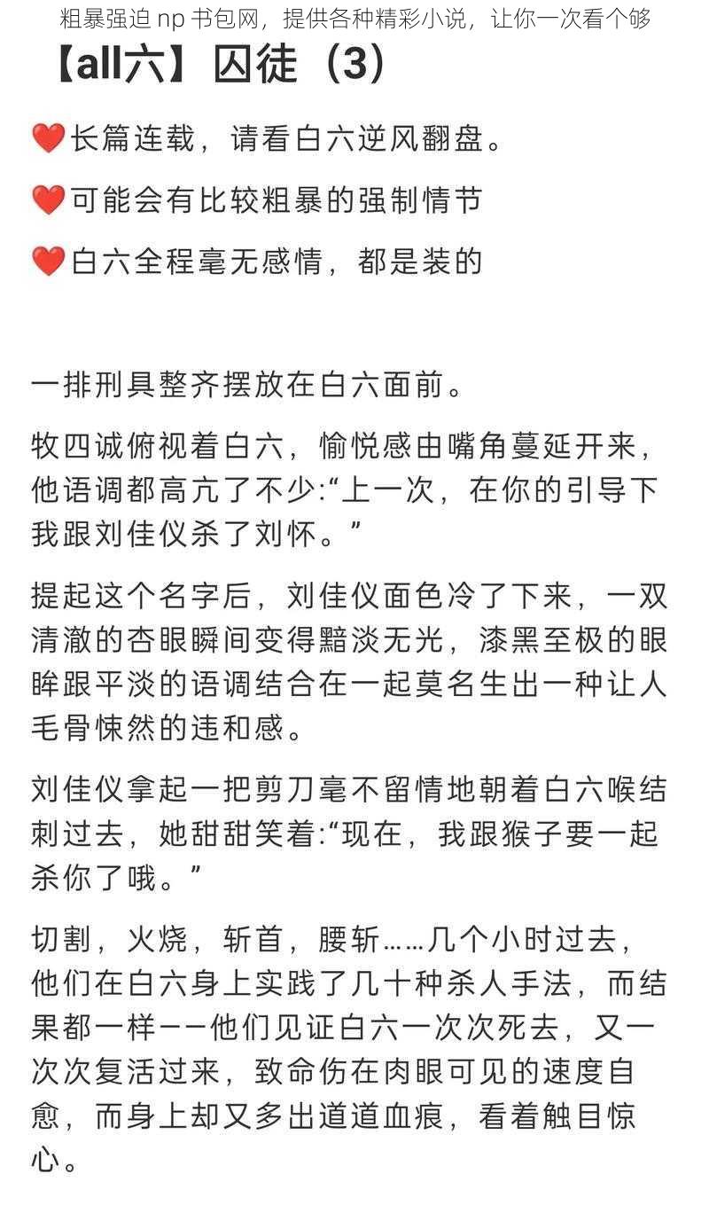 粗暴强迫 np 书包网，提供各种精彩小说，让你一次看个够