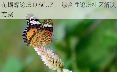 花蝴蝶论坛 DISCUZ——综合性论坛社区解决方案