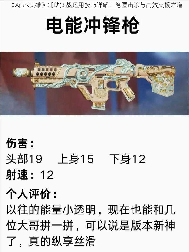 《Apex英雄》辅助实战运用技巧详解：隐匿击杀与高效支援之道