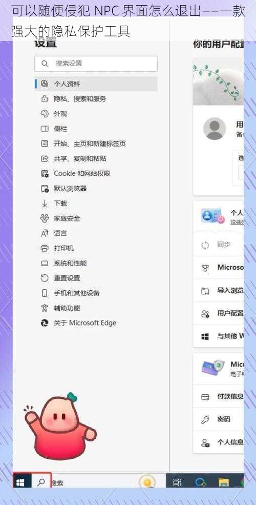 可以随便侵犯 NPC 界面怎么退出——一款强大的隐私保护工具