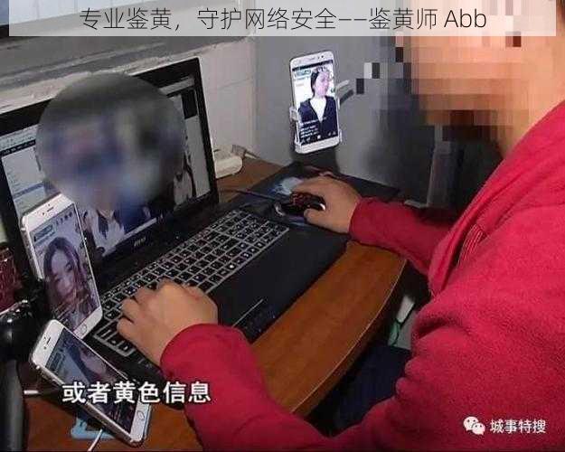 专业鉴黄，守护网络安全——鉴黄师 Abb