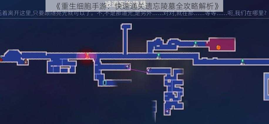 《重生细胞手游：快速通关遗忘陵墓全攻略解析》