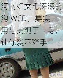 河南妇女毛深深的沟 WCD，集实用与美观于一身，让你爱不释手