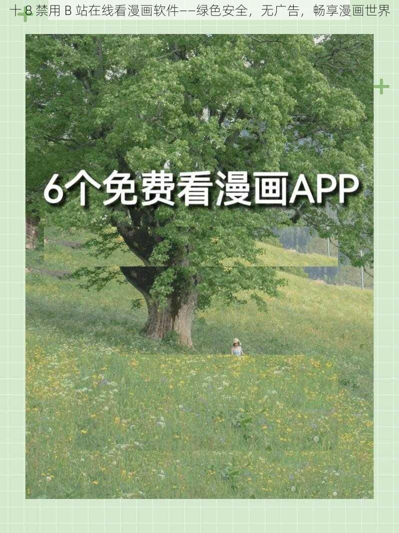 十 8 禁用 B 站在线看漫画软件——绿色安全，无广告，畅享漫画世界