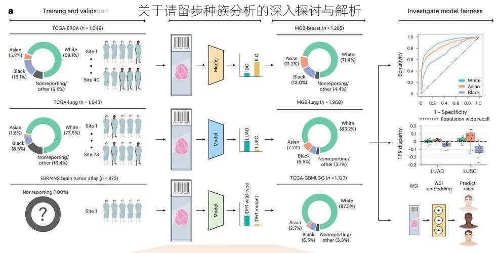 关于请留步种族分析的深入探讨与解析