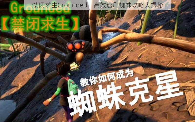 禁闭求生Grounded：高效速刷蜘蛛攻略大揭秘