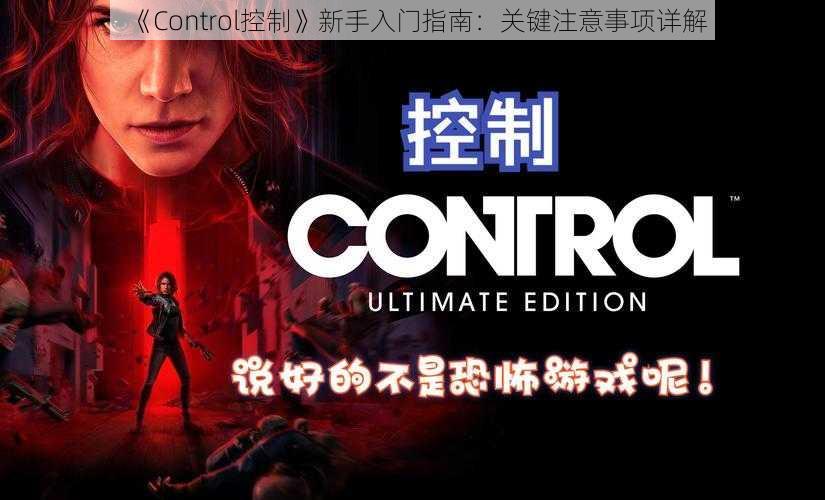 《Control控制》新手入门指南：关键注意事项详解