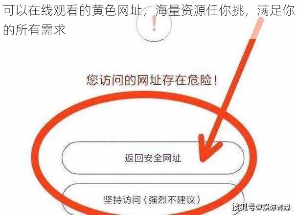 可以在线观看的黄色网址，海量资源任你挑，满足你的所有需求