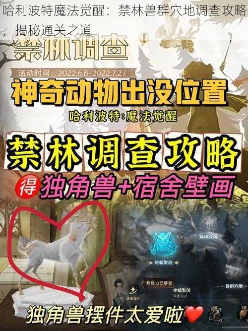 哈利波特魔法觉醒：禁林兽群穴地调查攻略，揭秘通关之道