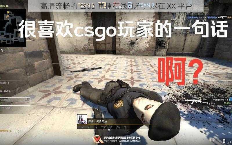 高清流畅的 csgo 直播在线观看，尽在 XX 平台