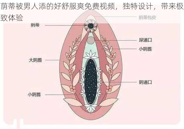 荫蒂被男人添的好舒服爽免费视频，独特设计，带来极致体验