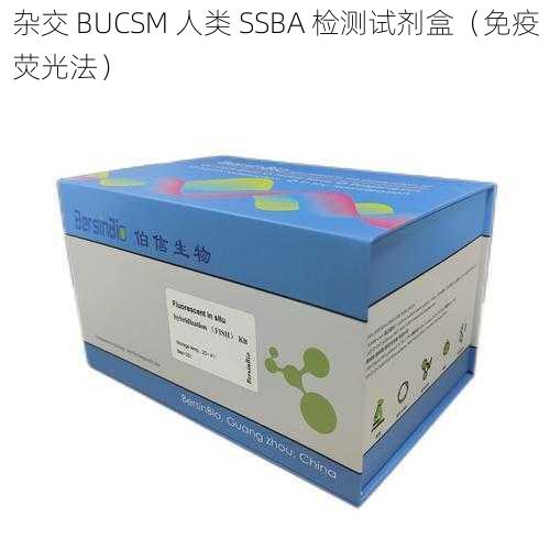 杂交 BUCSM 人类 SSBA 检测试剂盒（免疫荧光法）