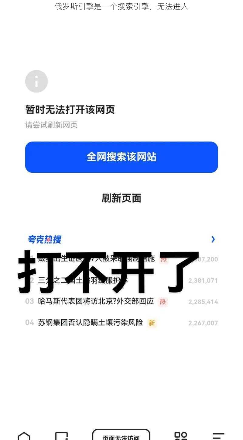 俄罗斯引擎是一个搜索引擎，无法进入