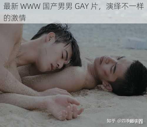 最新 WWW 国产男男 GAY 片，演绎不一样的激情