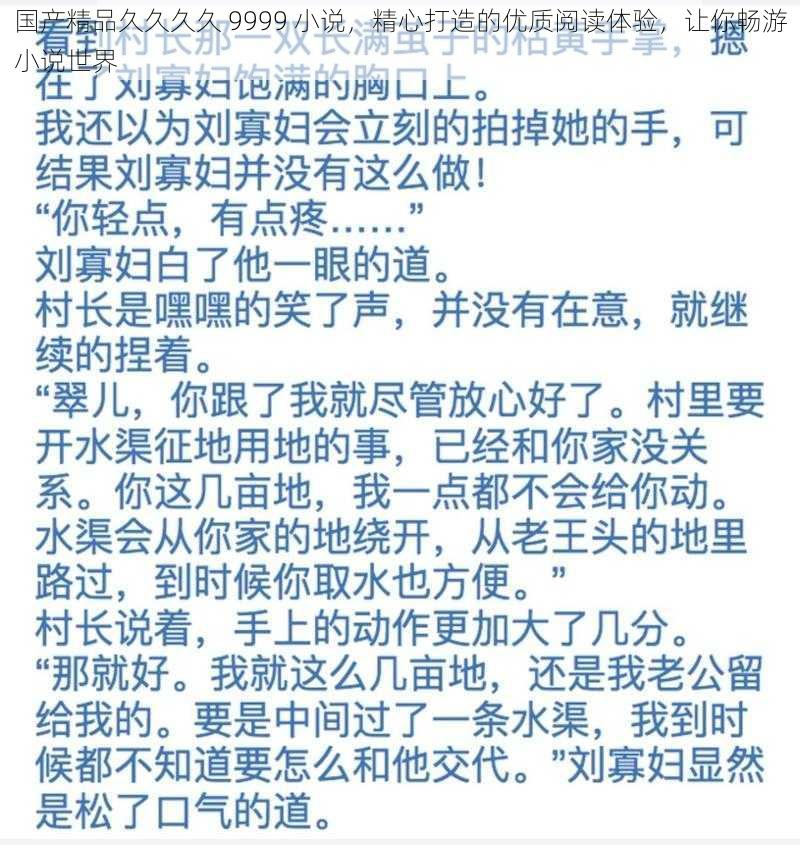 国产精品久久久久 9999 小说，精心打造的优质阅读体验，让你畅游小说世界